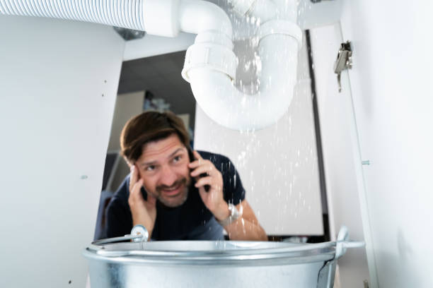Best Plumbing Services Near Me  in Carver, MN