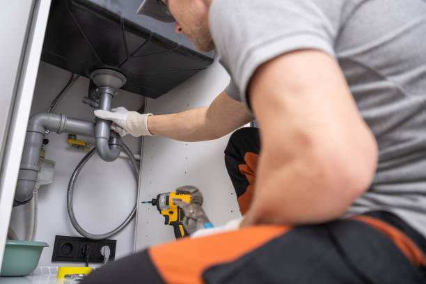 Best Local Plumber Services  in Carver, MN